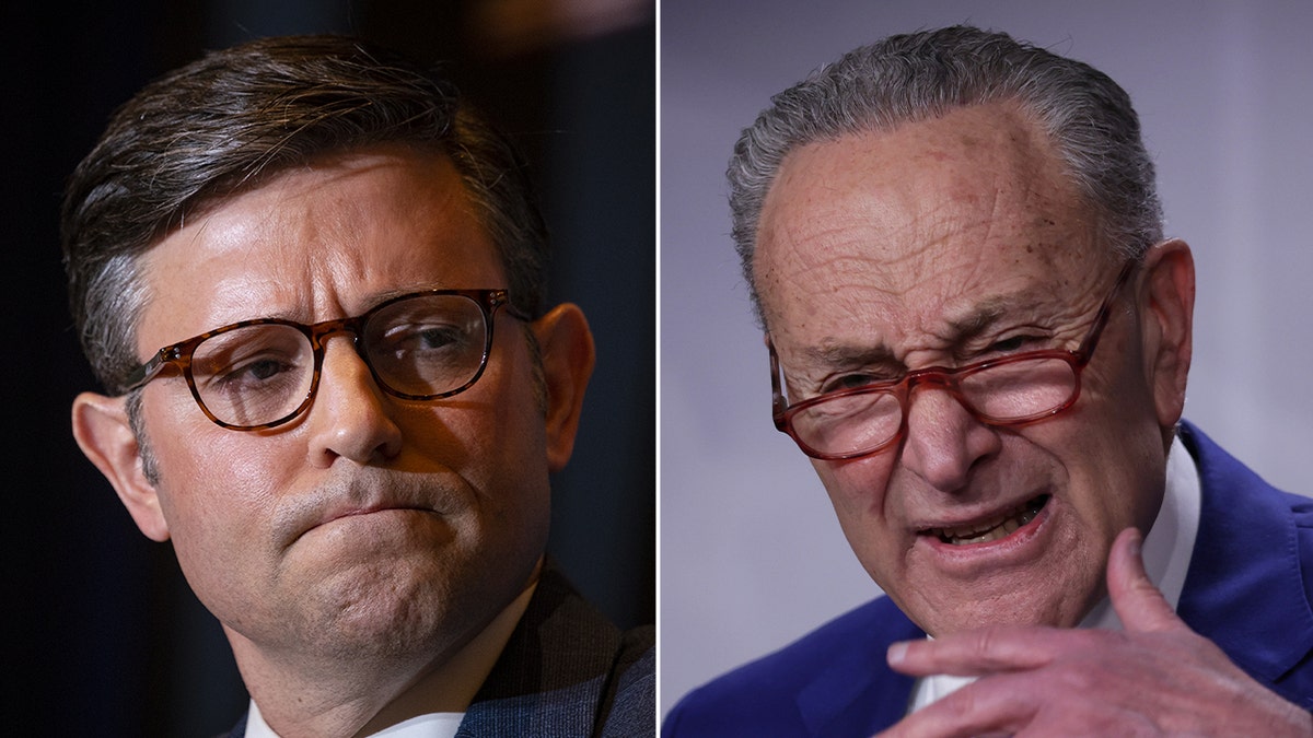 Johnson and Schumer split image