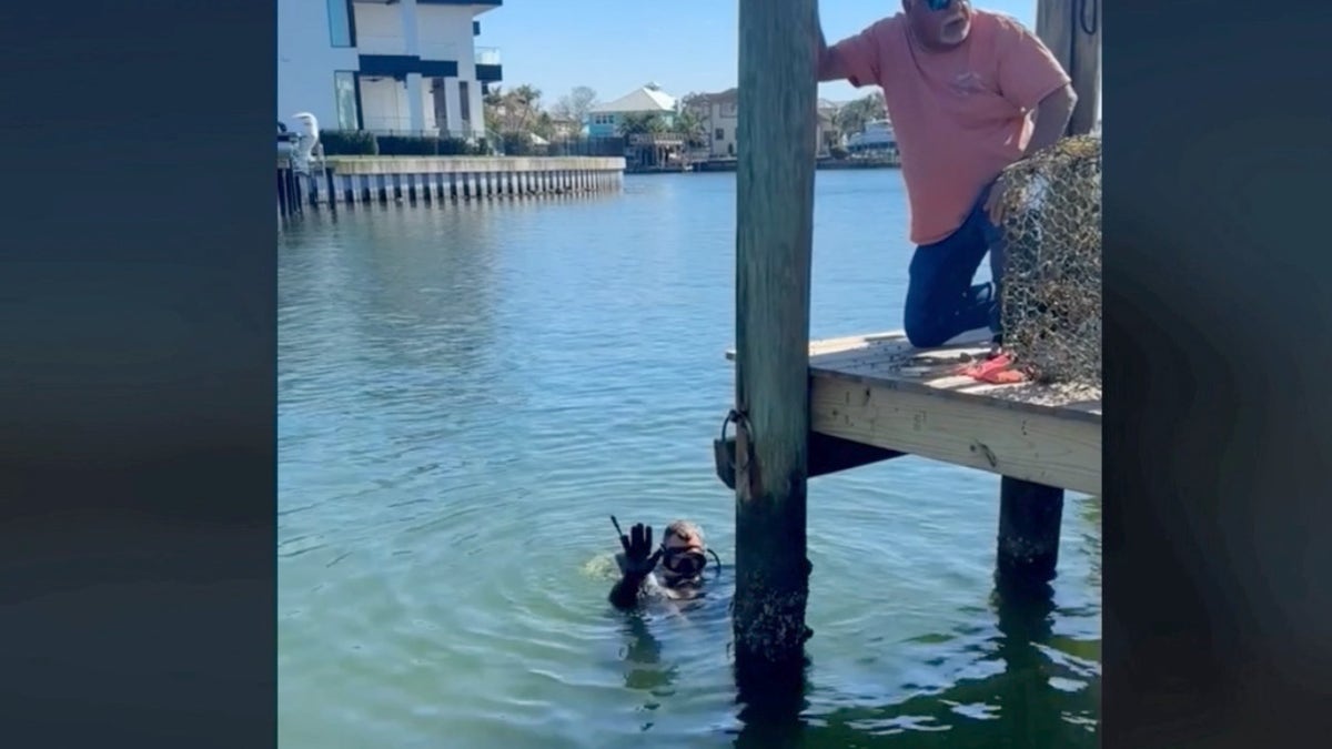 Scientist jumps in ocean