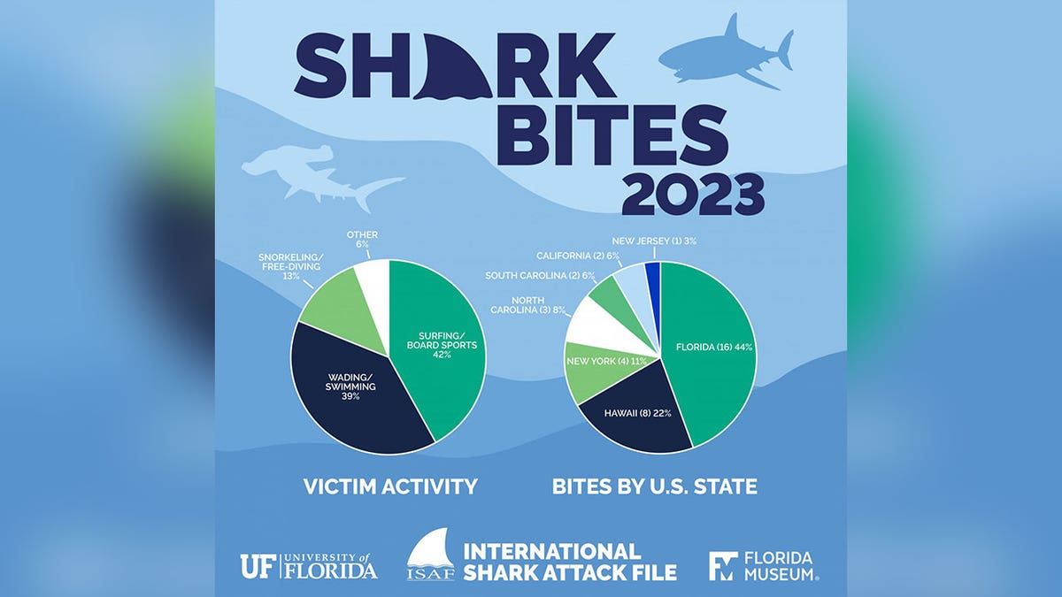 Gráfico circular de ataques de tiburones en 2023