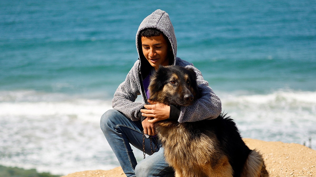 Teen and dog on the beach