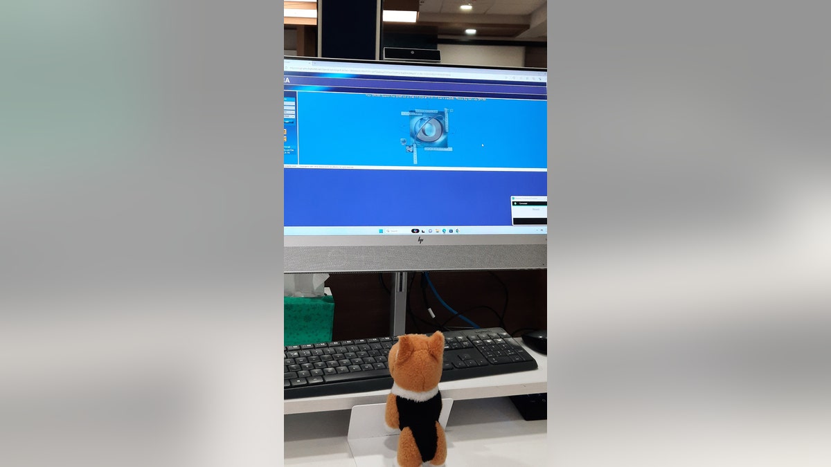 Plush toy looking at computer screen