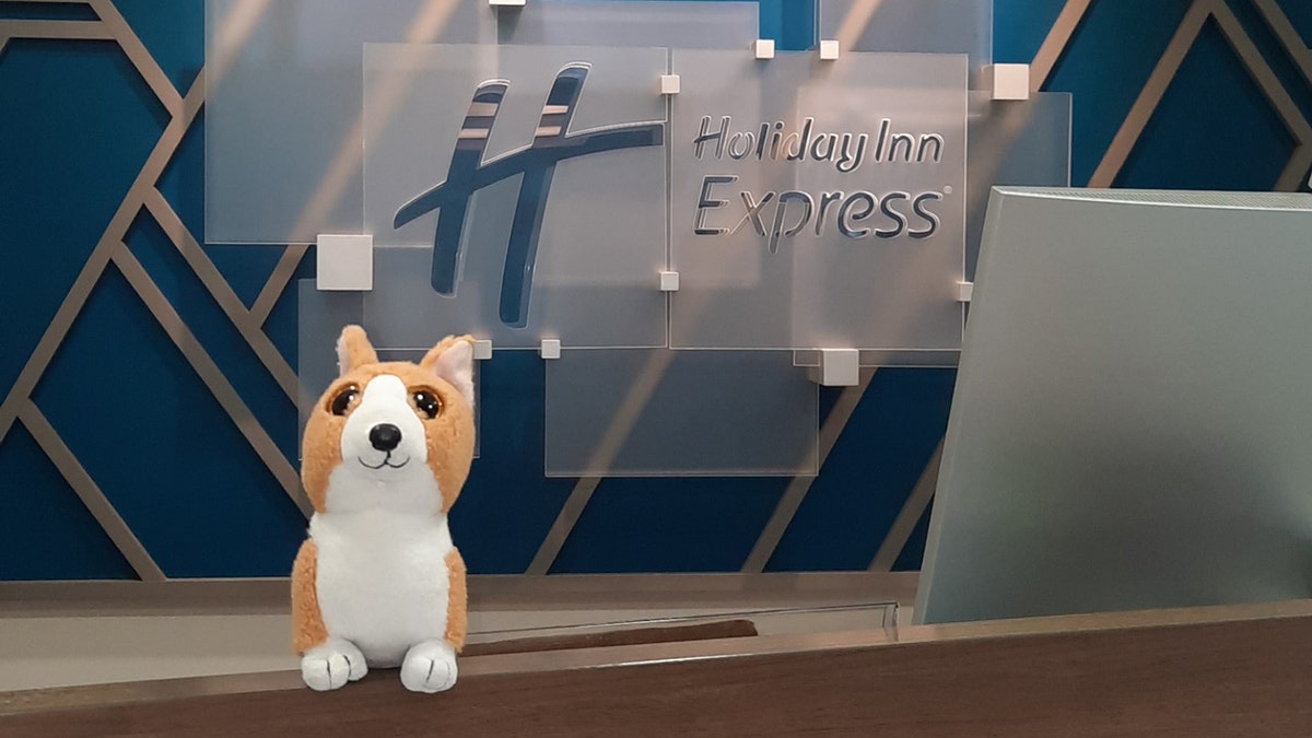 Dog toy on front hotel desk