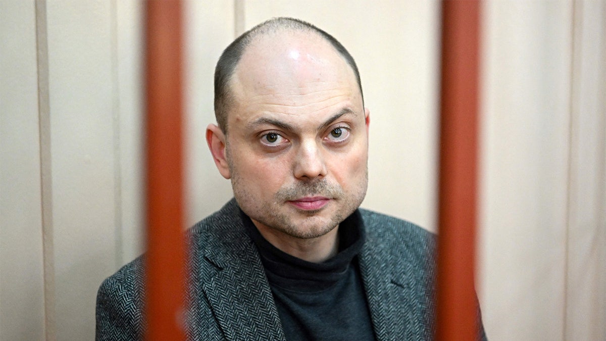 vladimir kara-murza