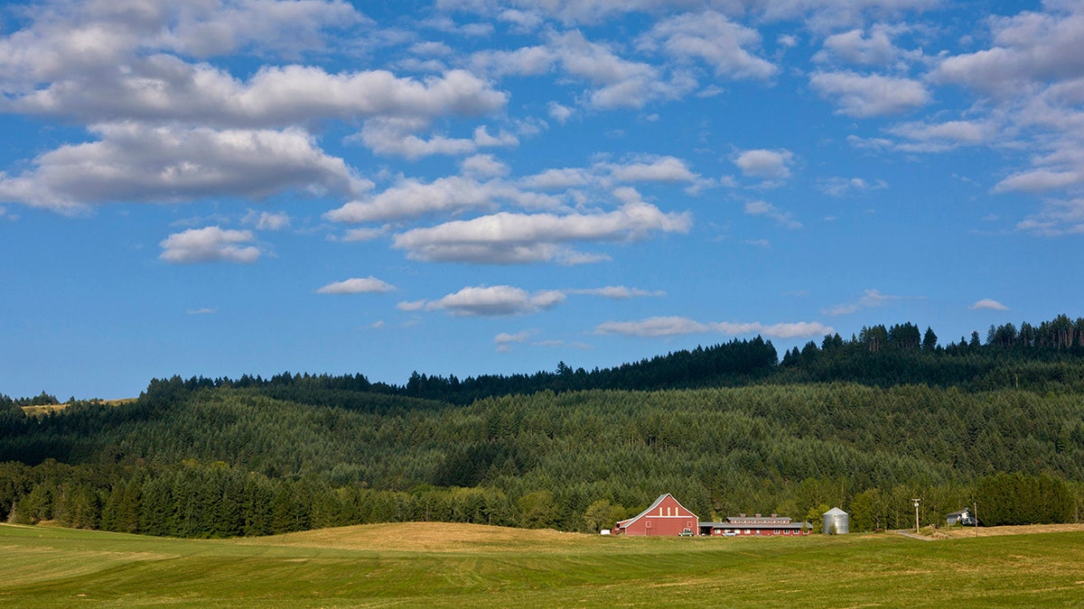 Red barn in field with forested hills and blue sky behind