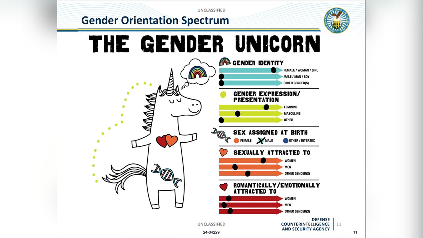 Intel agency DEI training features the 'gender unicorn' and 'transgender terminology'