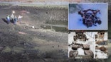Volunteer divers found human remains in car from 42-year-old mystery: 'We passed that pond every day'