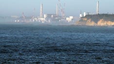 Japan's Fukushima nuclear plant leaked radioactive water, officials say