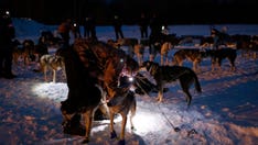 French teen, 13, dies after dog sled crash near Montreal while on vacation with family