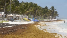 California woman shot dead in Mexican resort town popular with Americans