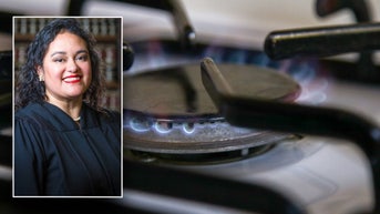 Biden-appointed judge delivers blow to climate lawsuit targeting gas stoves