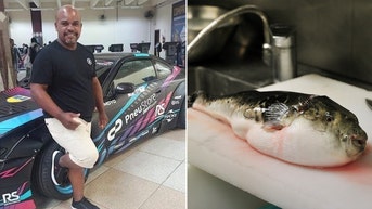 Man dies after cooking and eating highly poisonous pufferfish