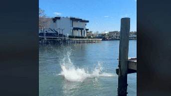 Scientist shares theory about mysterious 'deep bass' noise keeping residents up at night