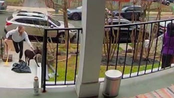 Wild video shows driver hop curb in stolen car, narrowly miss running down woman and her dog: police