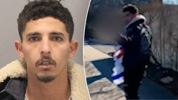 Palestinian migrant who arrived via Mexico allegedly beat homeowner over his support for Israel: video