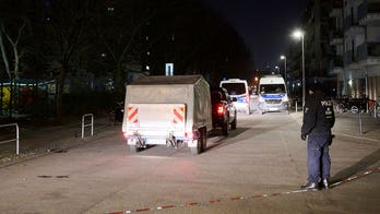 Hand grenade, other dangerous objects found during arrest of former leftist militant, German police say