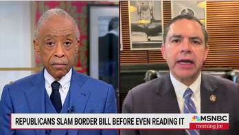 Dem Rep. Cuellar says big cities getting just a 'drop' of border chaos, says Trump, GOP better on this issue