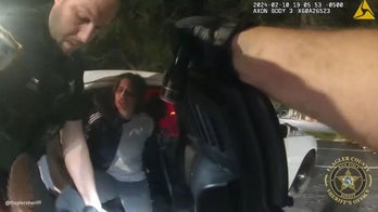 Florida 'nature nut' allegedly hits deputy after trying to hide from authorities in playground slide