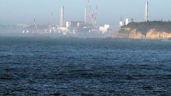 Japan's Fukushima nuclear plant leaked radioactive water, officials say