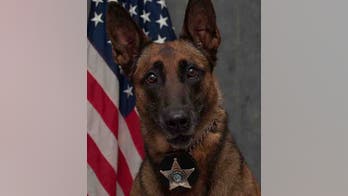 Illinois police K-9 fatally shot while chasing fleeing suspect