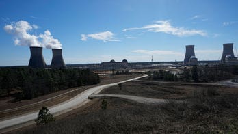 Georgia's new reactor achieves nuclear fission, should begin commercial operation in spring