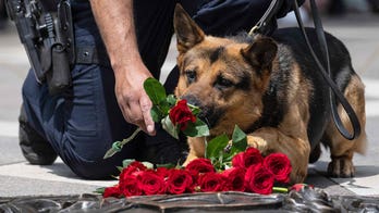 Kansas lawmakers consider increasing penalties for harming police dogs