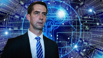 Sen. Tom Cotton torches Google AI system as 'racist, preposterously woke, Hamas-sympathizing'