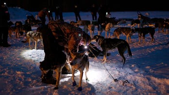 French teen, 13, dies after dog sled crash near Montreal while on vacation with family