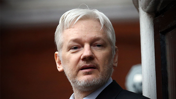 European Parliament urges UK to release Assange as possible final appeal challenging US extradition begins