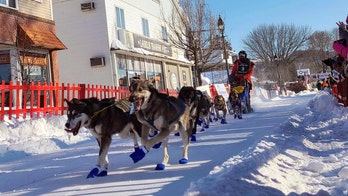 East Coast's longest dogsled race cancelled over lack of snow