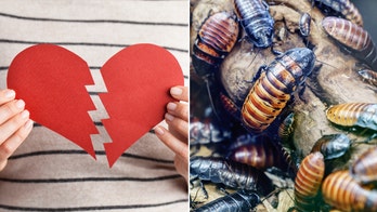 Zoos keep up Valentine's Day tradition of naming cockroaches and animals after exes and loved ones