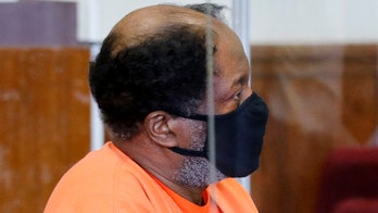 Former Olympian pleads guilty to over a dozen child molestation charges