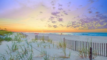 Hilton Head sees 2nd shark attack in one week amid busy summer vacation season