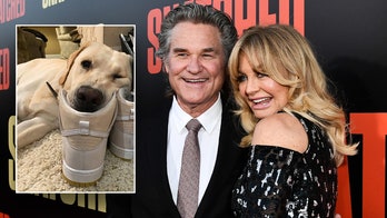 Budweiser Super Bowl ad featured Goldie Hawn, Kurt Russell's Labrador Retriever