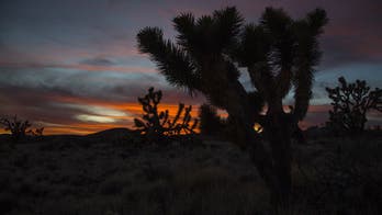 6 people presumed dead after helicopter crashes in California's Mojave Desert en route to Las Vegas area