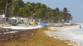 California woman shot dead in Mexican resort town popular with Americans