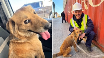 Coast Guard rescues dog trapped for a week inside shipping container at Texas port