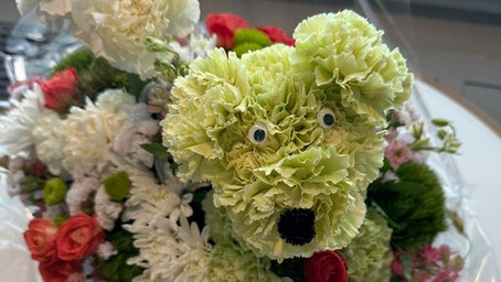 Texas woman orders poppy flowers, gets flowers shaped like puppy instead: 'Best mistake ever'