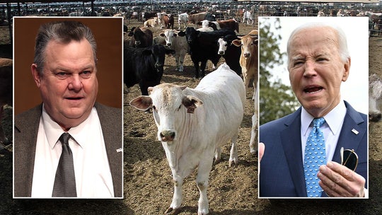 Biden admin faces bipartisan backlash for allowing beef imports from Paraguay: ‘Cutting corners’