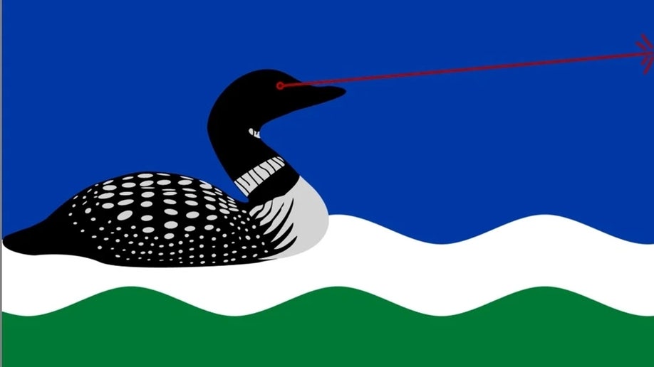 Laser loon