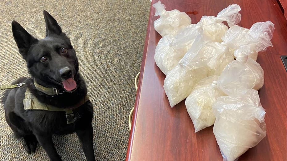 California K-9 finds pounds of meth hidden in dog treat boxes during traffic stop: police