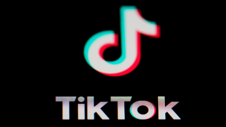 GOP-backed TikTok ban for kids fails in Democrat-controlled Virginia Legislature