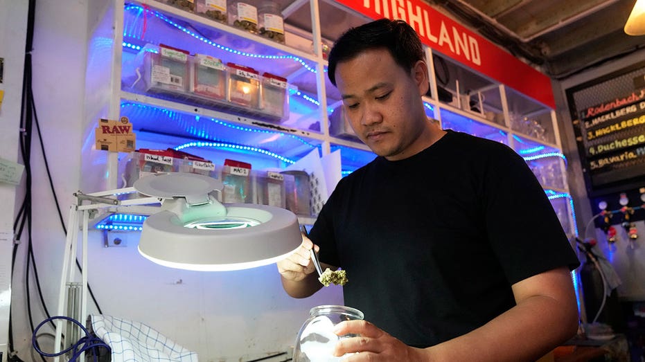 Thai lawmakers consider ban on recreational marijuana 2 years after legalization