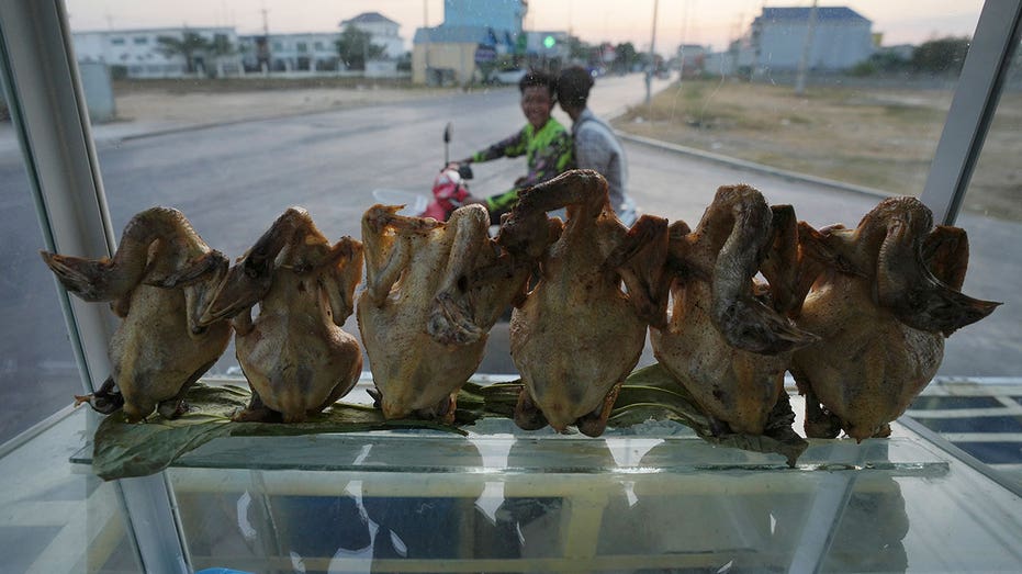 Cambodia reports new bird flu case after brother of 9-year-old who died of the virus tests positive