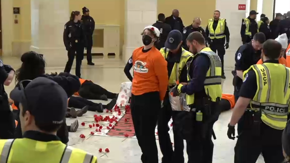 Capitol Police arrest pro-Palestinian demonstrators inside Cannon House Office Building