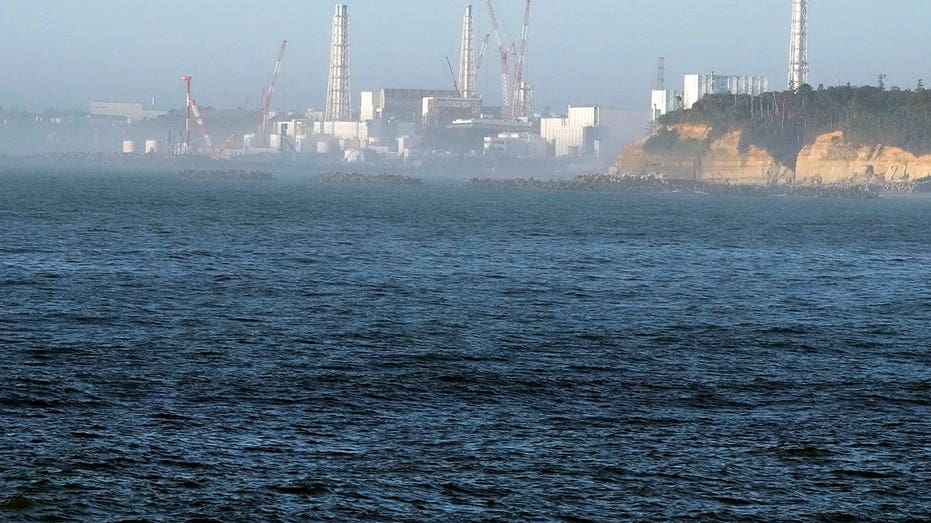 Japan's Fukushima nuclear plant leaked radioactive water, officials say