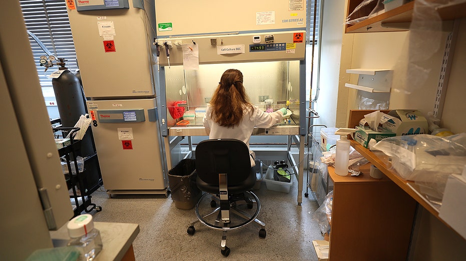 Change in Lyme disease reporting sees 70% rise in U.S. case counts in 2022