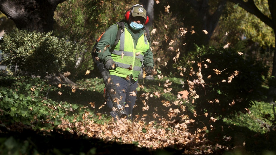 Portland considers banning gas-powered leaf blowers to assuage climate concerns