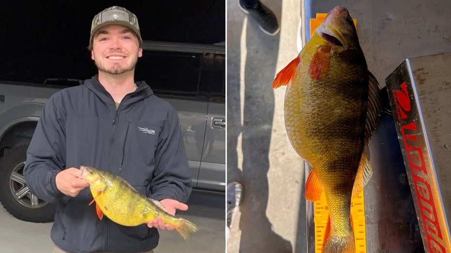 Georgia fisherman ties state record after reeling in surprise 'trophy-size' catch