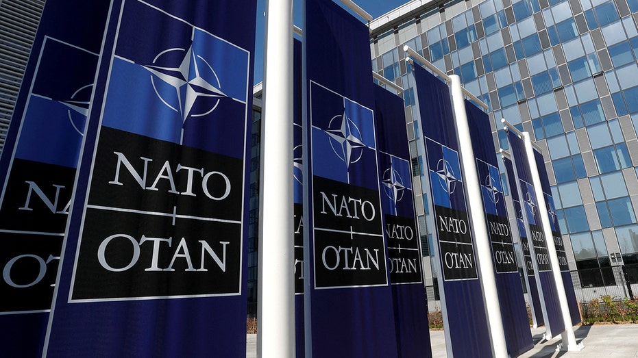 NATO alliance to exclude Ukraine from upcoming summer summit, US ambassador says