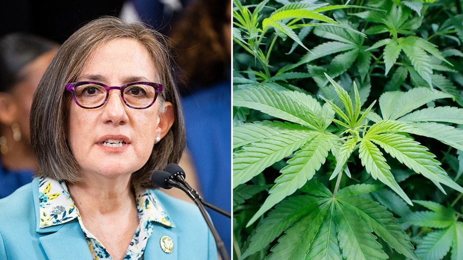 House Dem accused of accepting ‘illegal’ campaign donations from controversial marijuana dispensary chain